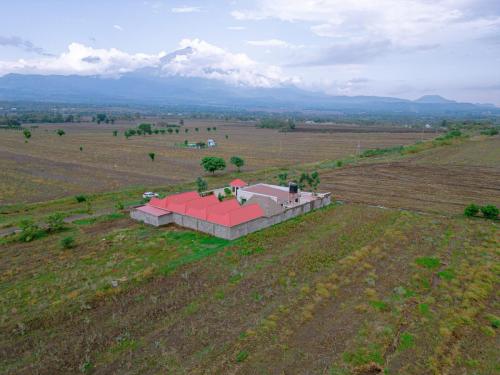 DJI_0646