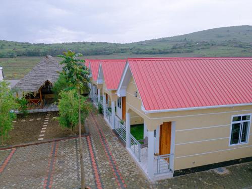 DJI_0682