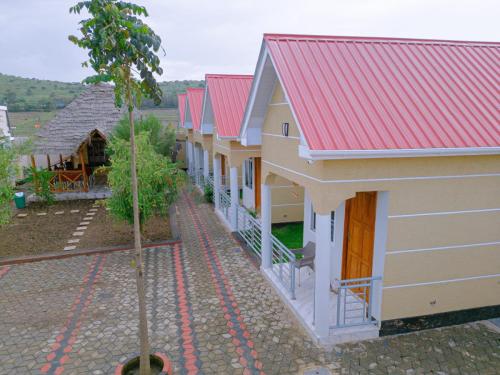 DJI_0684