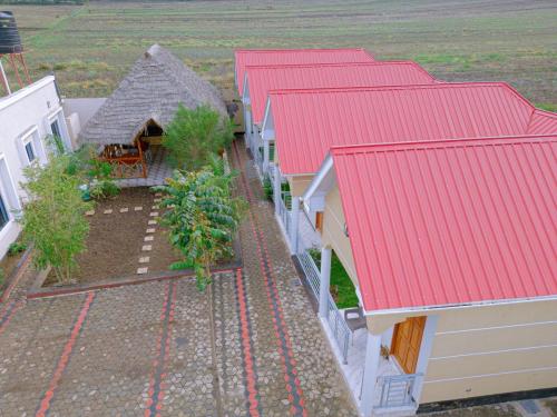 DJI_0685